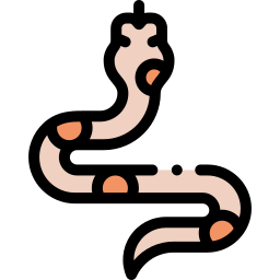 Snake icon