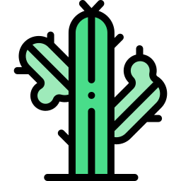 Cactus icon