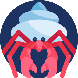 Hermit crab icon