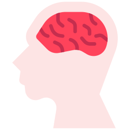 Brain icon