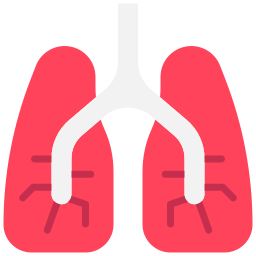 Lungs icon