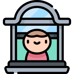 Window icon