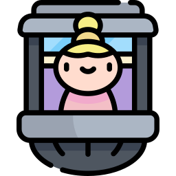 Window icon