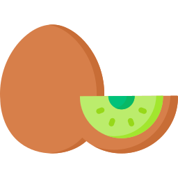 kiwi Icône