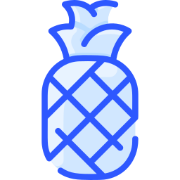 ananas icon