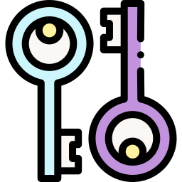 Key icon