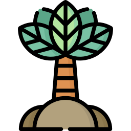 Palm icon