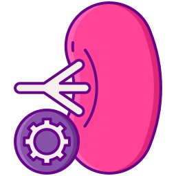 lymphgefäss icon