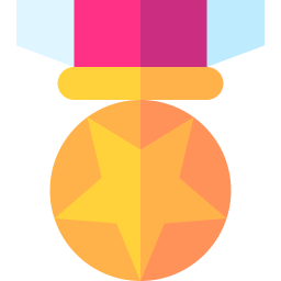 Medal of honor icon