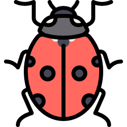 Ladybug icon