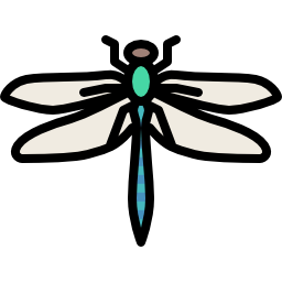 Dragonfly icon