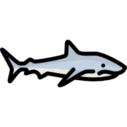 Shark icon