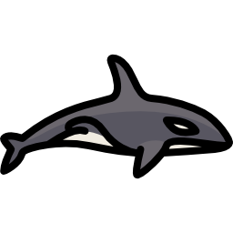 Orca icon