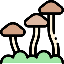 champignon Icône