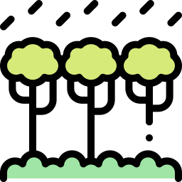 Rainforest icon