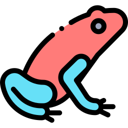 Frog icon