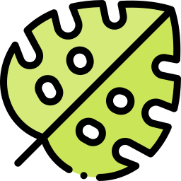 Leaf icon