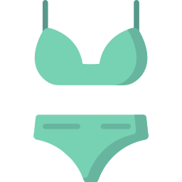 Bikini icon