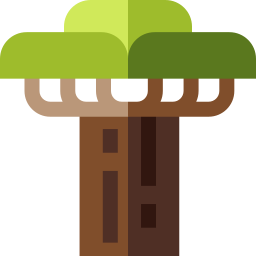 baobab icon