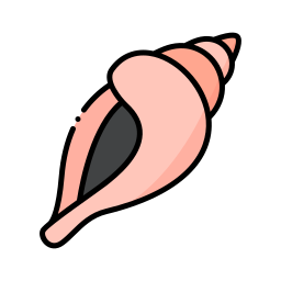 Shell icon