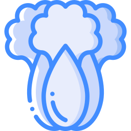 bok choy icon