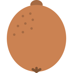 Kiwi icon