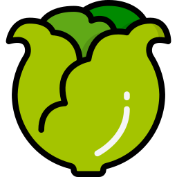 grüner salat icon