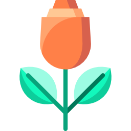 rose icon