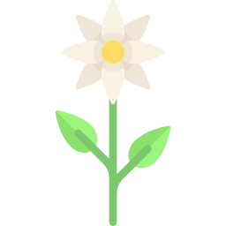 blume icon