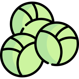 Brussels sprouts icon