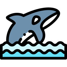 Killer whale icon