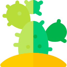 Cactus icon