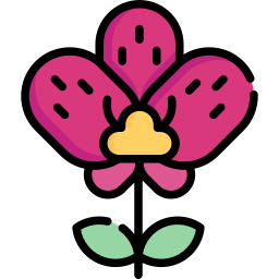 blume icon