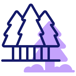 Pine tree icon