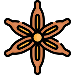 Anise icon