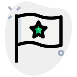 Flag icon