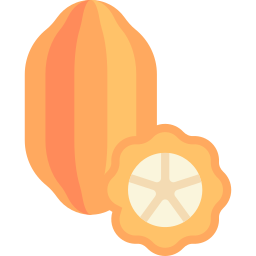 kakao icon