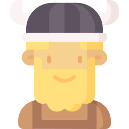 viking icoon