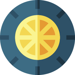 Wheel icon