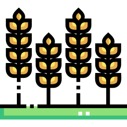 Wheat icon