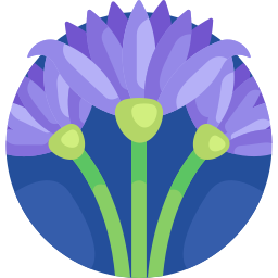 lotus icon