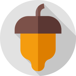 Acorn icon