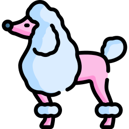 caniche Icône