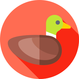 ente icon