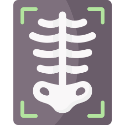 X ray icon