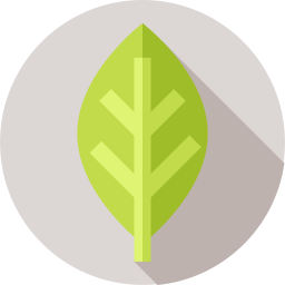 Leaf icon