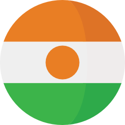 niger Icône