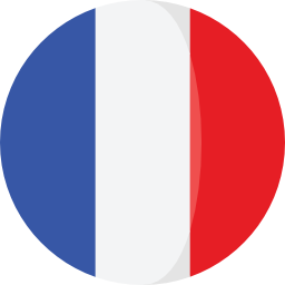 france Icône