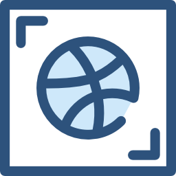 dribbble icon