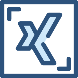 Xing icon